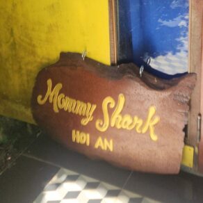 Mommy Shark Hoi An Da Nang - Your Lost Luggage Rescue for Sportswear & Swimwear