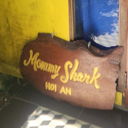 Mommy Shark Hoi An Da Nang - Your Lost Luggage Rescue for Sportswear & Swimwear